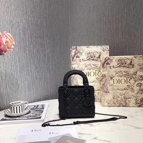 DIOR 디올 레이디 17CM D80891